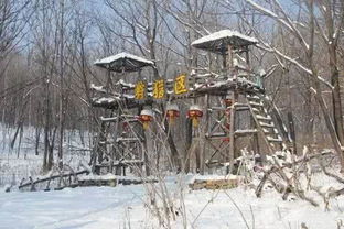 哈尔滨天气预报