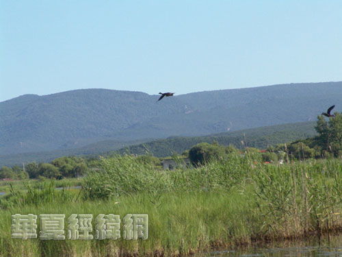 宁安天气预报