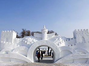 哈尔滨天气预报