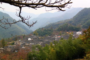 余姚天气预报