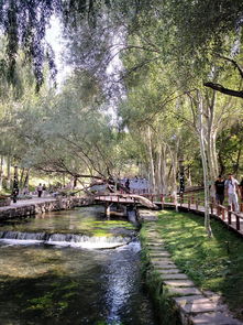 乌鲁木齐天气预报