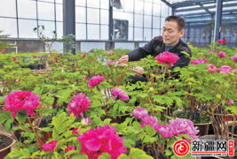 乌鲁木齐天气预报