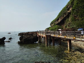 北海天气预报