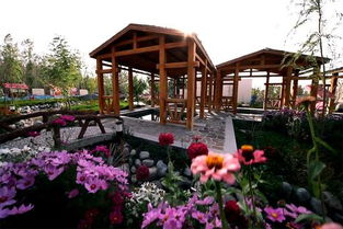 乌鲁木齐天气预报