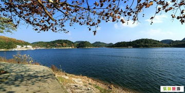 清镇天气预报