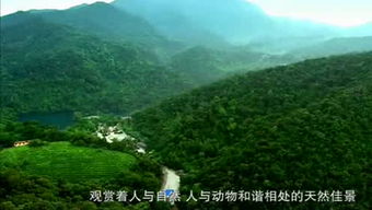 肇庆天气预报