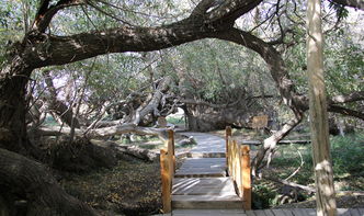 乌鲁木齐天气预报