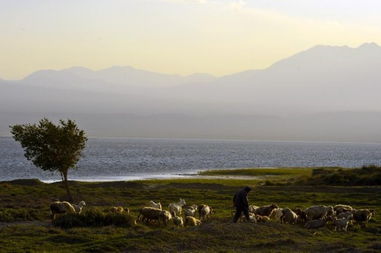 乌鲁木齐天气预报