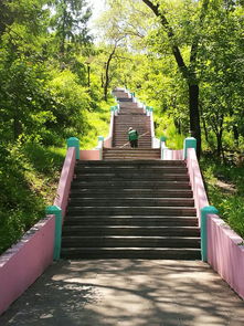 佳木斯天气预报