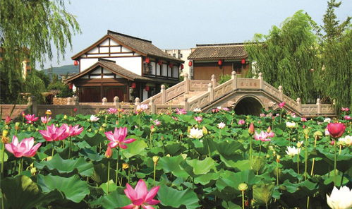 诸暨天气预报