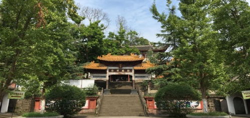 遂宁天气预报