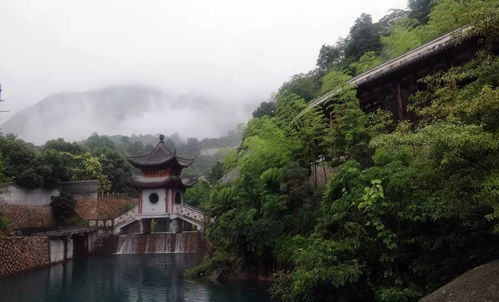 温州天气预报