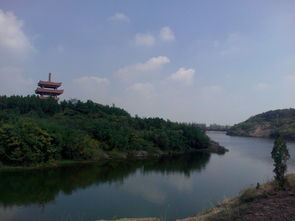 新沂天气预报