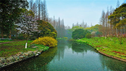 上海天气预报