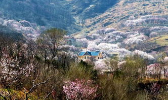 池州天气预报