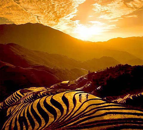 桂林龙脊梯田 桂林龙脊梯田