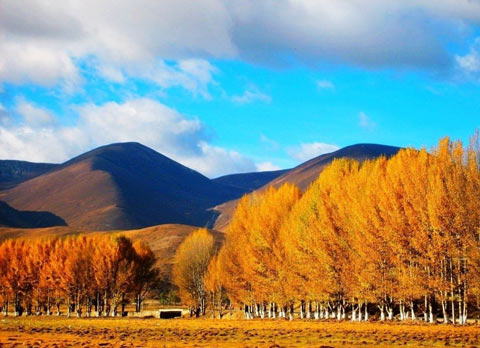 稻城亚丁 稻城亚丁