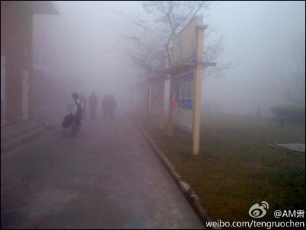 上海昨日出现大雾（图片来源：新浪微博）